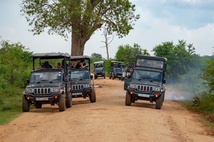 4-Day Sri Lanka: Beach, Elephant & Leopard Safaris from Colombo