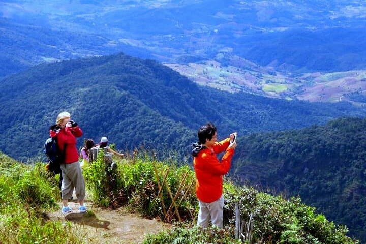 Doi Inthanon Full-Day Trek: Kew Mae Pan & Summit Nature Walk from Chiang Mai photo 6