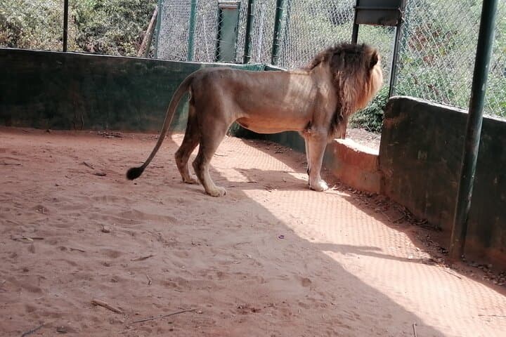 Accra Zoo, Canopy Walk & Botanical Gardens: Half-Day Private Tour