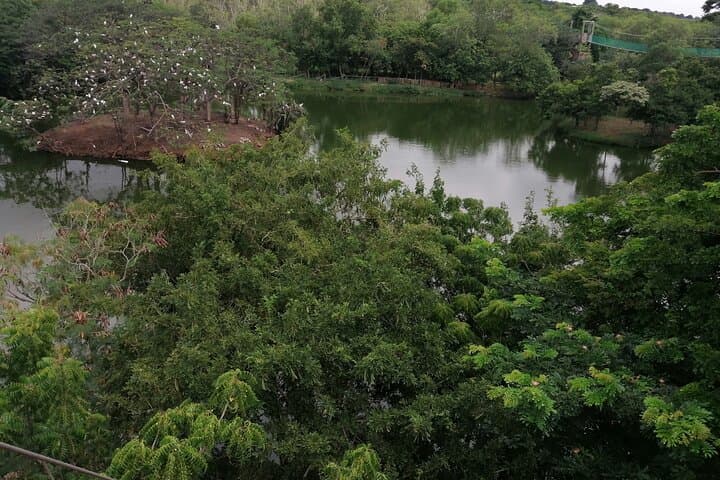 Accra Zoo, Canopy Walk & Botanical Gardens: Half-Day Private Tour photo 3