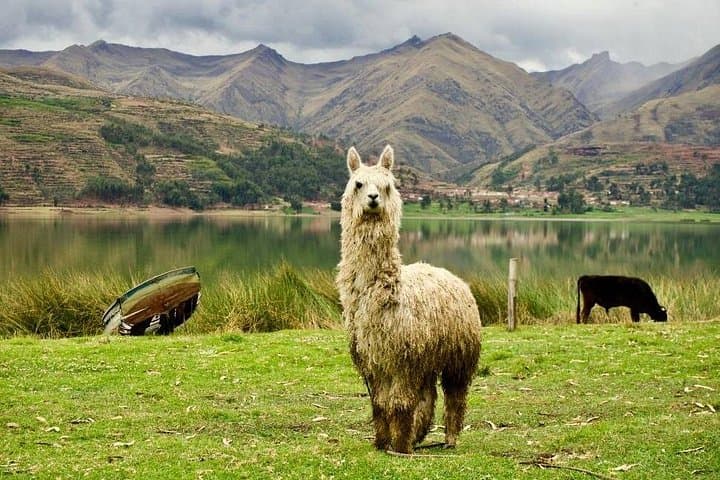 Cusco to Machu Picchu & Vinicunca: 5-Day Andes Trek and Cultural Tour photo 3
