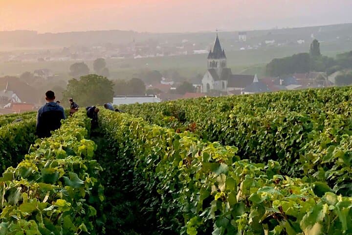 Private Champagne Day Trip from Paris: Moët & Chandon, Pommery & Pressoria photo 4