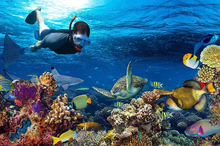 Speed-Boat Snorkeling to Hon Tam & Mini Beach: Private Day Tour from Nha Trang photo 6