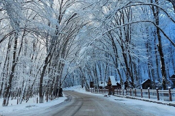 Private Daily Tour From Baku: Gabala, Shahdag & Sheki Highlights