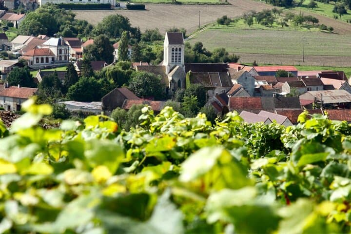Private Taittinger Champagne Cellars Half-Day Trip from Paris
