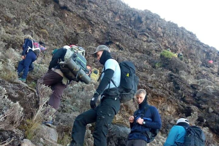 Mount Kilimanjaro 6-Day Marangu Route: Classic Hut-to-Hut Ascent to Uhuru Peak photo 3