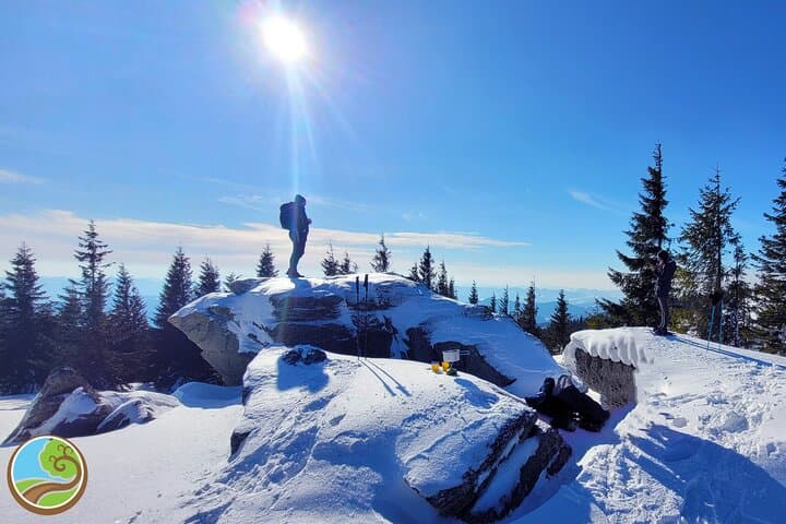 Snowshoeing the Great Mountain: Day Tour from Cluj-Napoca photo 4