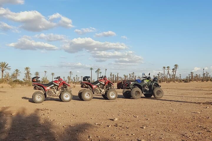 Sunset Quad Biking in Marrakech's Palmeraie: Palm-Grove Rides & Berber Tea photo 4