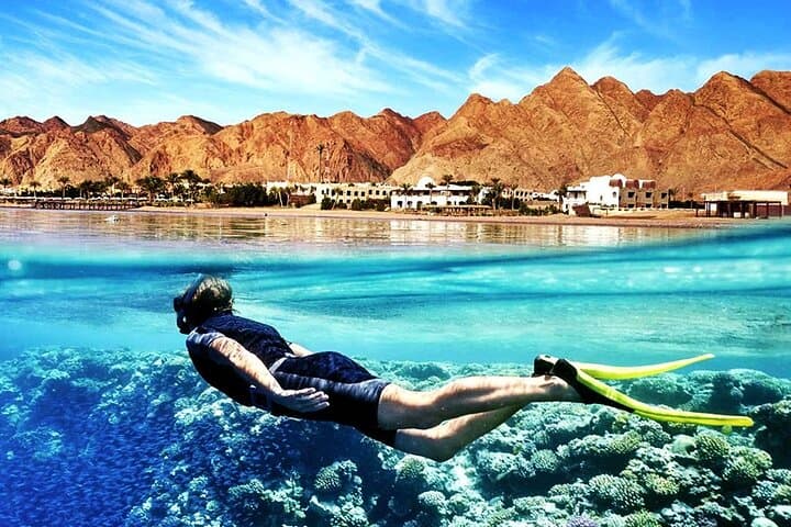 Private Red Sea Snorkeling Day Trip from Hurghada — Explore Coral Gardens by Boat photo 1