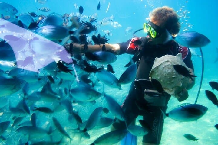 Private Red Sea Snorkeling Day Trip from Hurghada — Explore Coral Gardens by Boat photo 3