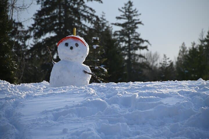 Full-Day Ski & Snow Tour to Bakuriani from Kutaisi with Borjomi Stop photo 3