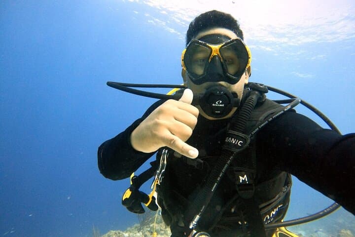 Half-Day Shore Diving Adventure in Curaçao — 2 Dives from Willemstad