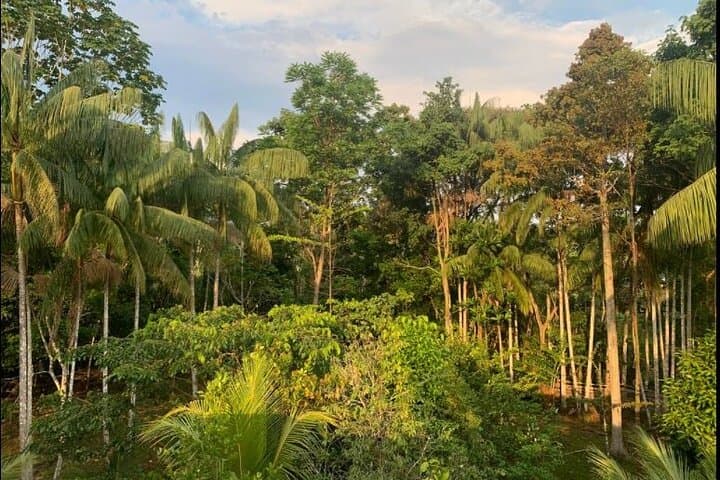 Wild Amazonas Adventure: 4-Day Leticia Jungle Tour photo 5