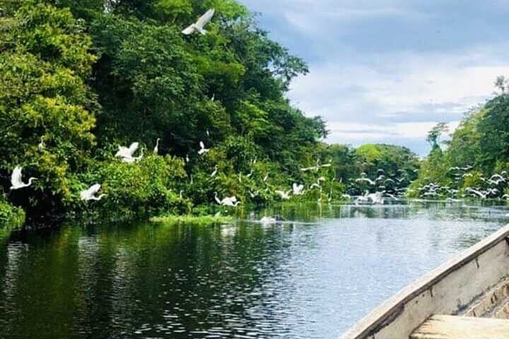 Wild Amazonas Adventure: 4-Day Leticia Jungle Tour photo 6