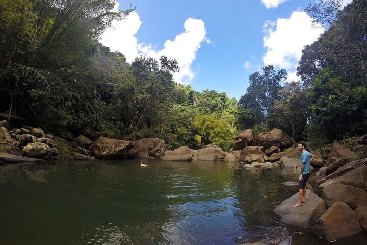 El Yunque Waterslides to Luquillo Kiosks: Private Rainforest & Beach Day Trip photo 4