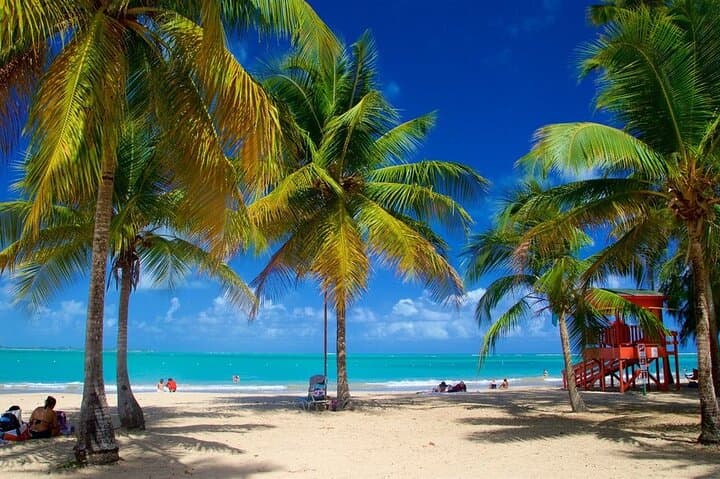 El Yunque Waterslides to Luquillo Kiosks: Private Rainforest & Beach Day Trip photo 5
