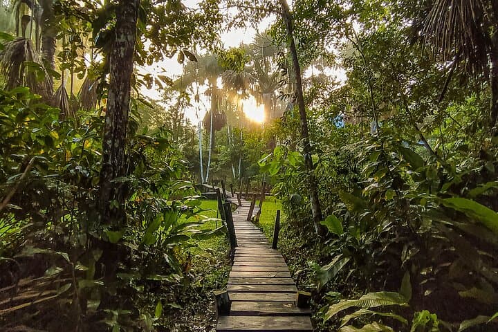Amazonas Natural and Cultural 5-Day Tour — Leticia to Puerto Nariño Rainforest Immersion photo 4