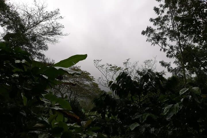 Chiquimula Window to the Sky — Coffee, Waterfalls & Maya Ch'orti' Culture photo 3