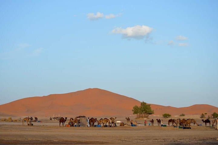 2-Day Fes to Sahara: Camel Ride & Luxury Berber Camp at Erg Chebbi photo 3