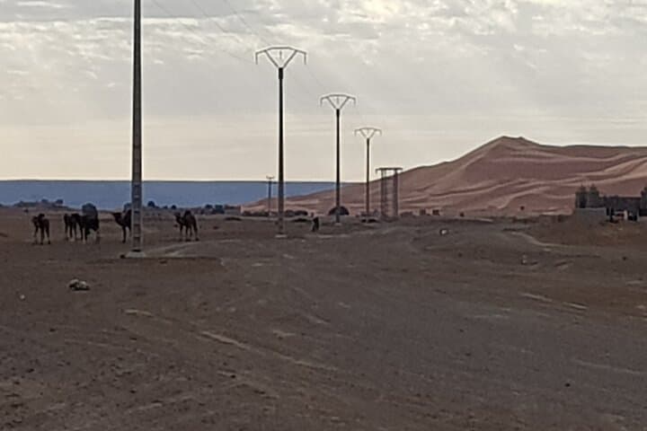 Private Merzouga Desert Tour & Visit to Nomadic Families photo 3