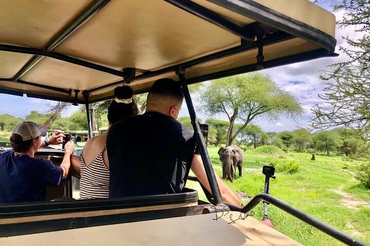 4-Day Luxury Safari Through Tarangire, Serengeti & Ngorongoro Crater photo 6
