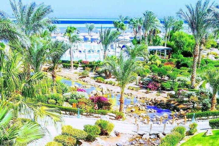 Hurghada Deluxe Yacht: 2 Intro Dives at Red Sea Coral Reefs photo 2