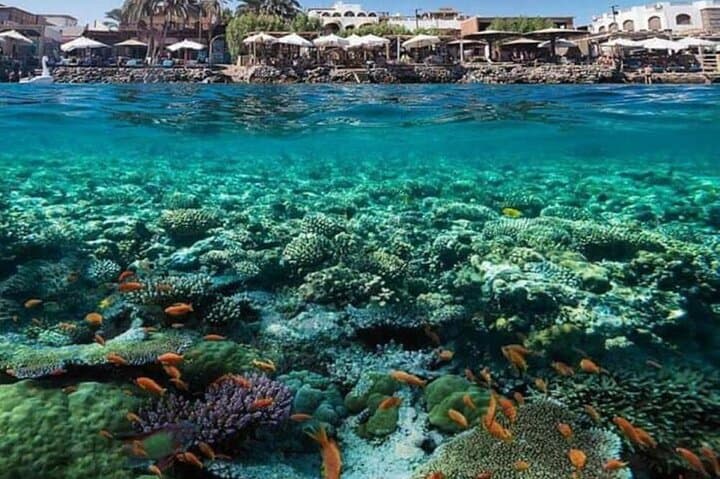 Hurghada Deluxe Yacht: 2 Intro Dives at Red Sea Coral Reefs photo 3