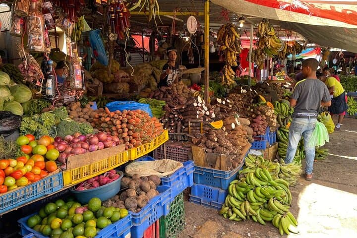 Full-Day Anamuya Cultural Tour from Punta Cana — Coconut, Coffee & Cacao Immersion photo 3