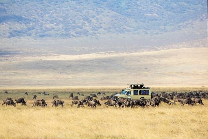 3-Day Small-Group Safari: Tarangire, Ngorongoro Crater & Lake Manyara
