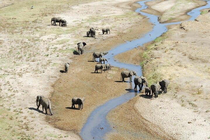 3-Day Small-Group Safari: Tarangire, Ngorongoro Crater & Lake Manyara photo 4