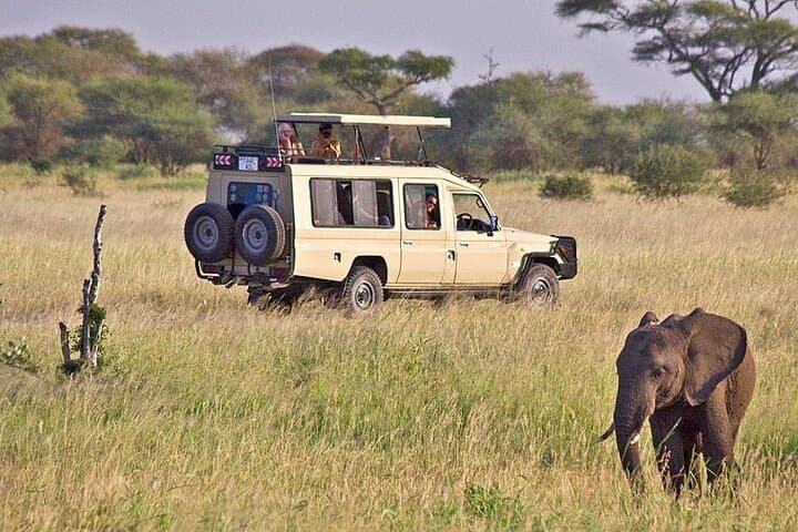 5-Day Private Serengeti Safari: Ngorongoro, Tarangire & Lake Manyara Highlights