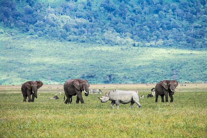 5-Day Private Serengeti Safari: Ngorongoro, Tarangire & Lake Manyara Highlights photo 2