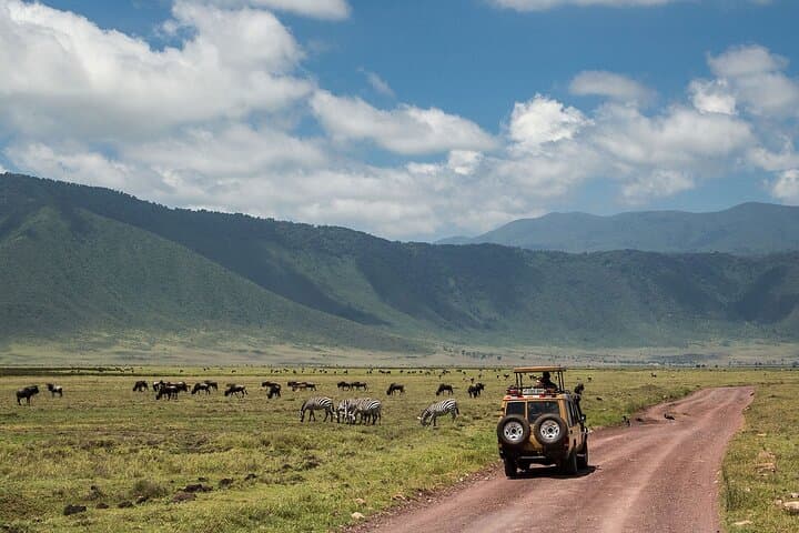 5-Day Private Serengeti Safari: Ngorongoro, Tarangire & Lake Manyara Highlights photo 5
