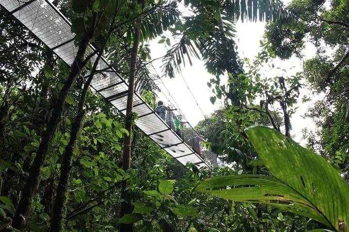 Mistico Arenal Hanging Bridges: Private Canopy Walk From Guanacaste photo 5
