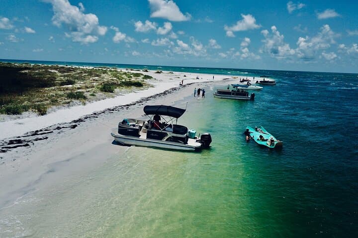 Explore Clearwater Beach on a Private Pontoon Boat Tour: Dolphins, Shelling & Secluded Beaches photo 4