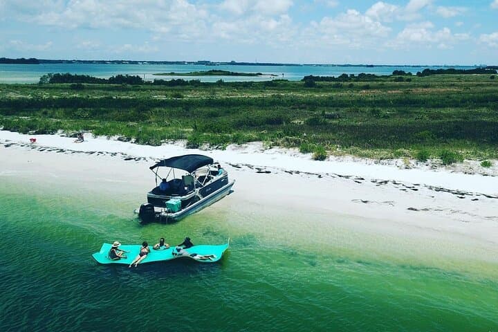 Explore Clearwater Beach on a Private Pontoon Boat Tour: Dolphins, Shelling & Secluded Beaches photo 3