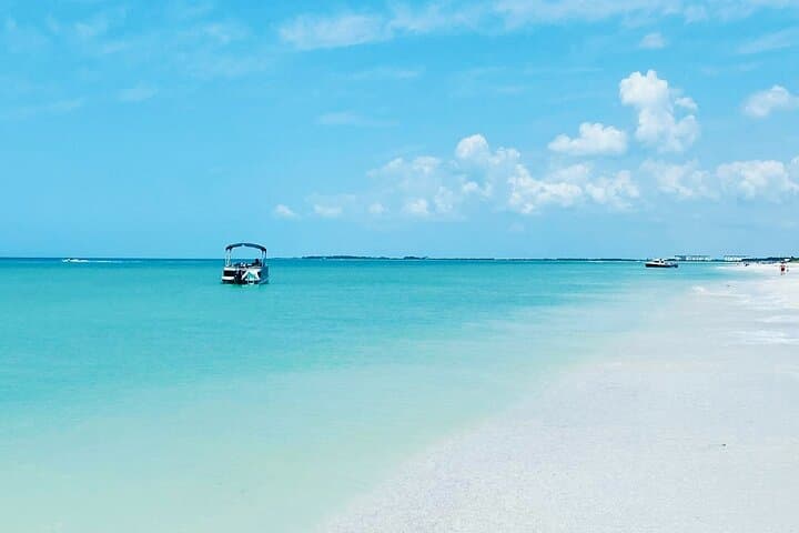 Explore Clearwater Beach on a Private Pontoon Boat Tour: Dolphins, Shelling & Secluded Beaches photo 2