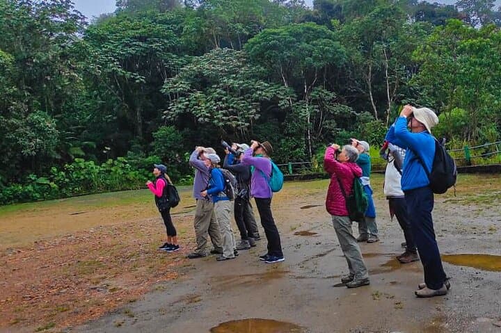 Mindo Cloud Forest Private Day Tour: Hikes, Waterfalls & Hummingbirds from Quito photo 3