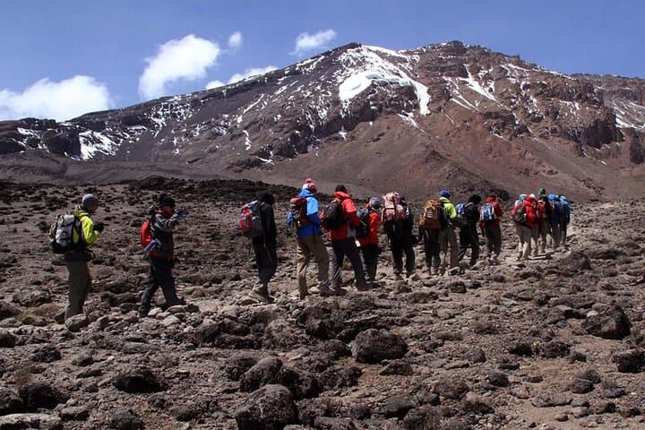 7-Day Mt Kilimanjaro Marangu Route Hut Trek — Guide to the Coca-Cola Route photo 5