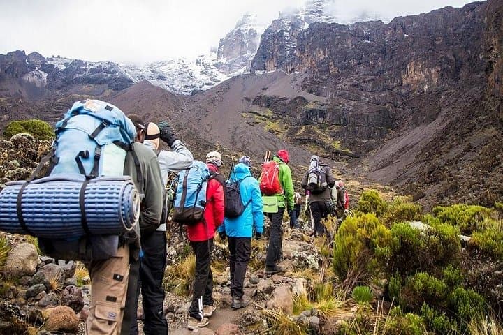 Rongai Route: 7-Day Kilimanjaro Climb via Rongai photo 4