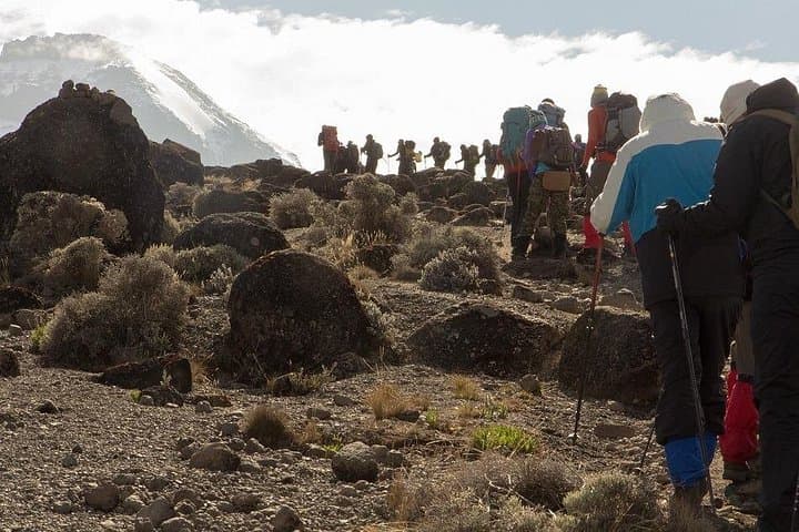 Rongai Route: 7-Day Kilimanjaro Climb via Rongai photo 6