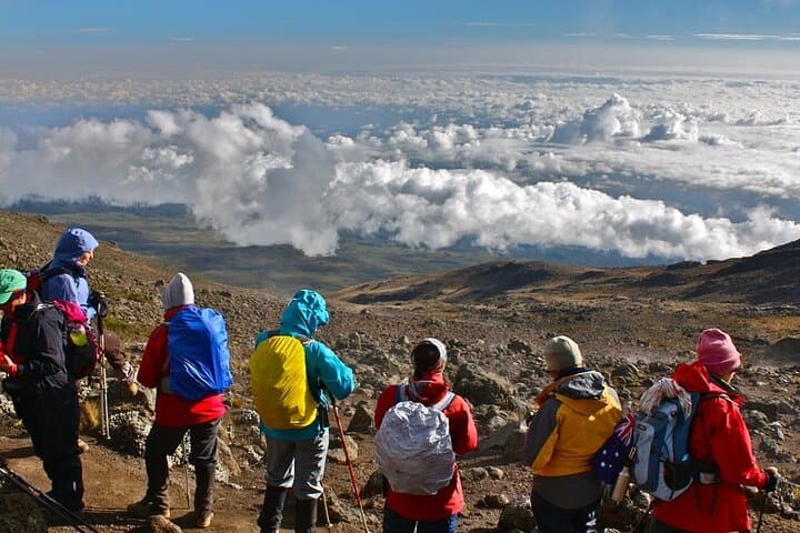 5-Day Marangu Route Kilimanjaro Climb: Hut-to-Hut Summit Guide photo 2