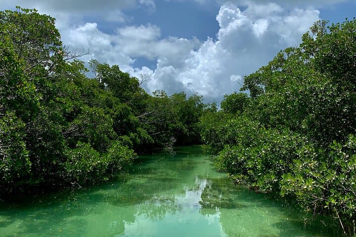 Key West Private Sandbar & Mangrove Paddle — Half-Day Boat, Kayak & SUP Adventure photo 5