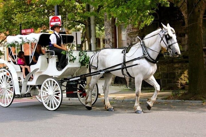 Central Park Romantic Horse-Drawn Carriage Ride — VIP Private 45-Min Experience photo 2