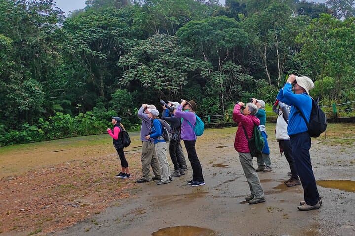 Hummingbird Expedition Quito to Mindo — Cloud Forest Birdwatching & Photo Tour photo 6