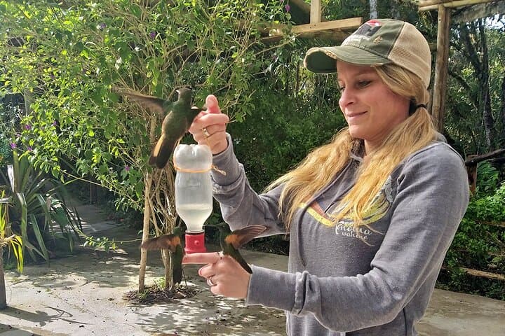 Hummingbird Expedition Quito to Mindo — Cloud Forest Birdwatching & Photo Tour photo 4