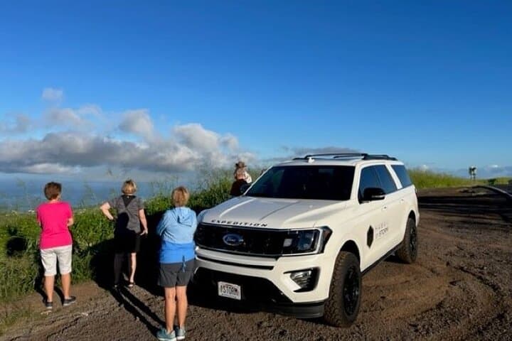 Private Road to Hana Luxury Tour: Waterfalls, Black Sand Beach, and Backroad Sights
