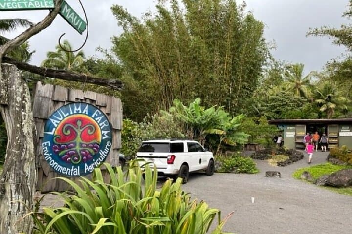 Private Road to Hana Luxury Tour: Waterfalls, Black Sand Beach, and Backroad Sights photo 6