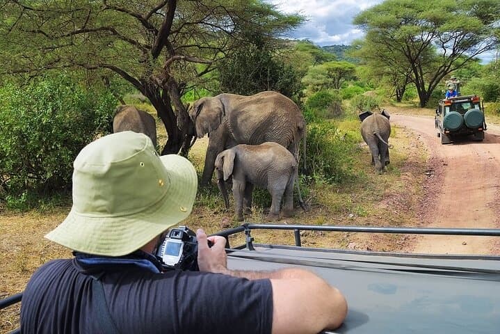 4-Day Mid-Range Safari: Serengeti, Ngorongoro & Tarangire