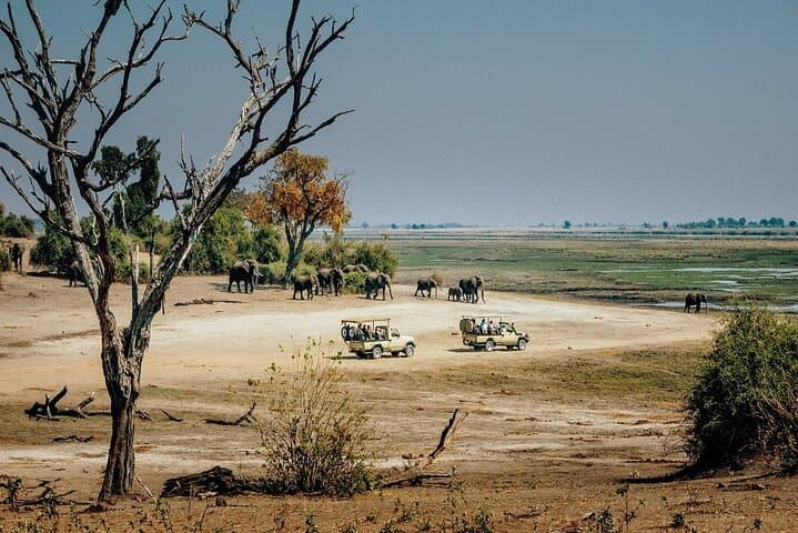 4-Day Mid-Range Safari: Serengeti, Ngorongoro & Tarangire photo 2